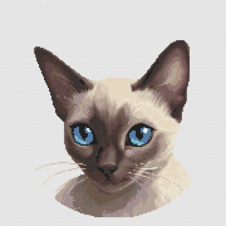 Siamese cat cross stitch