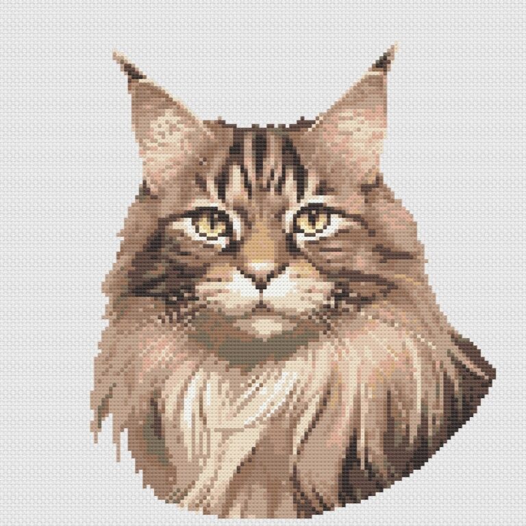 Maine coon cat cross stitch pattern on white Aida cloth
