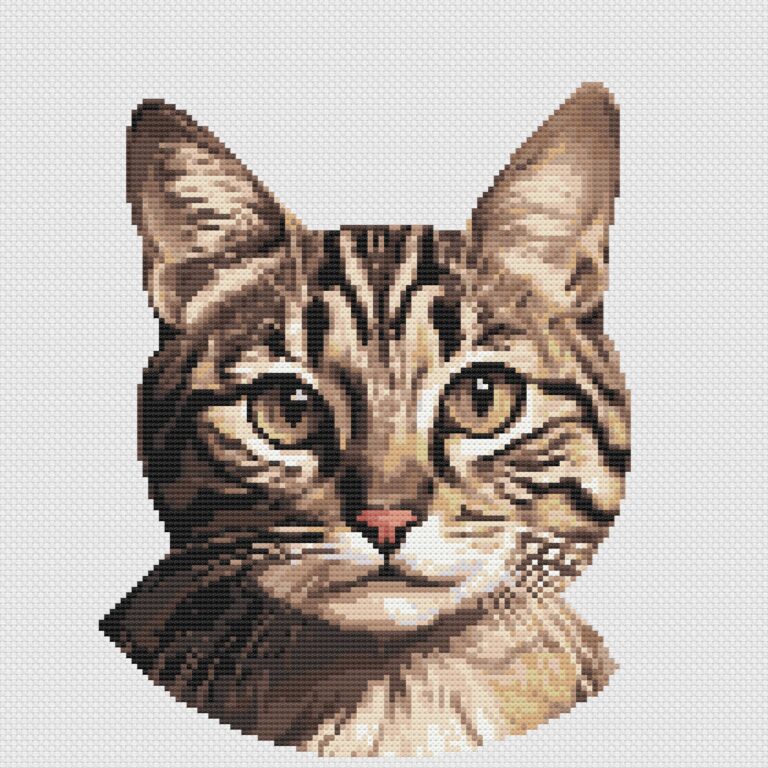 Tabby cat cross stitch pattern on white Aida cloth